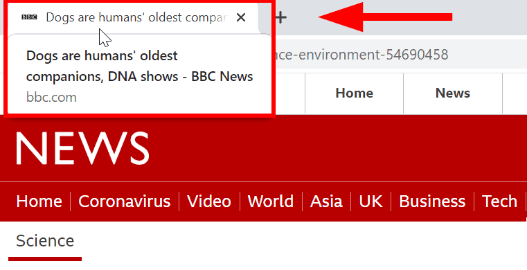 Dogs Are Humans Title Tag Bbc