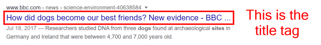 This is the title tag