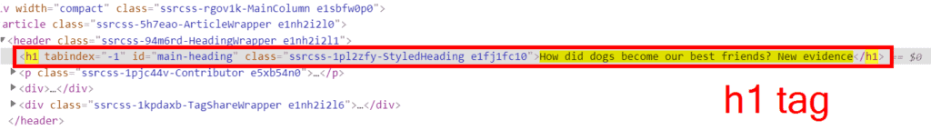 H1 Html Code