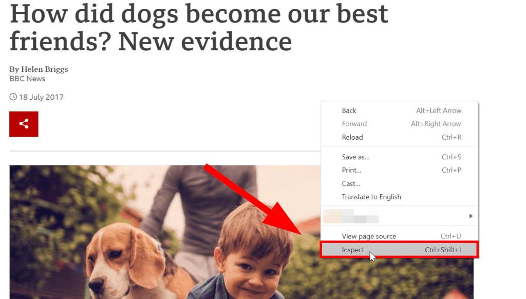 Title Tags How To View Code